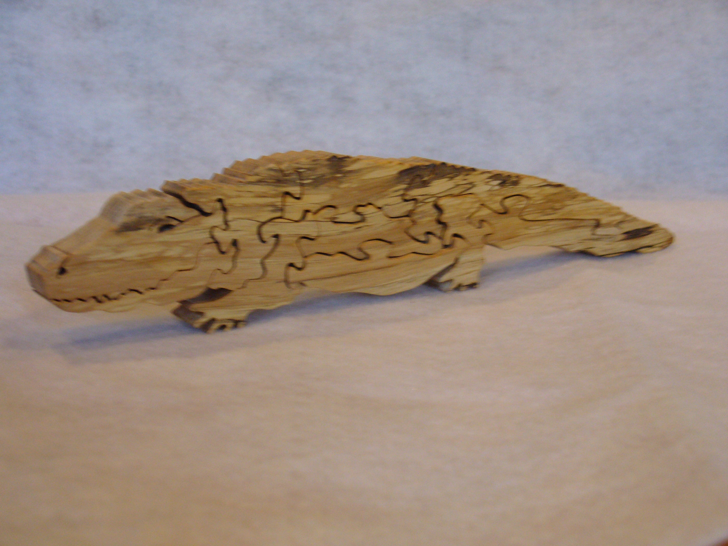 Alligator