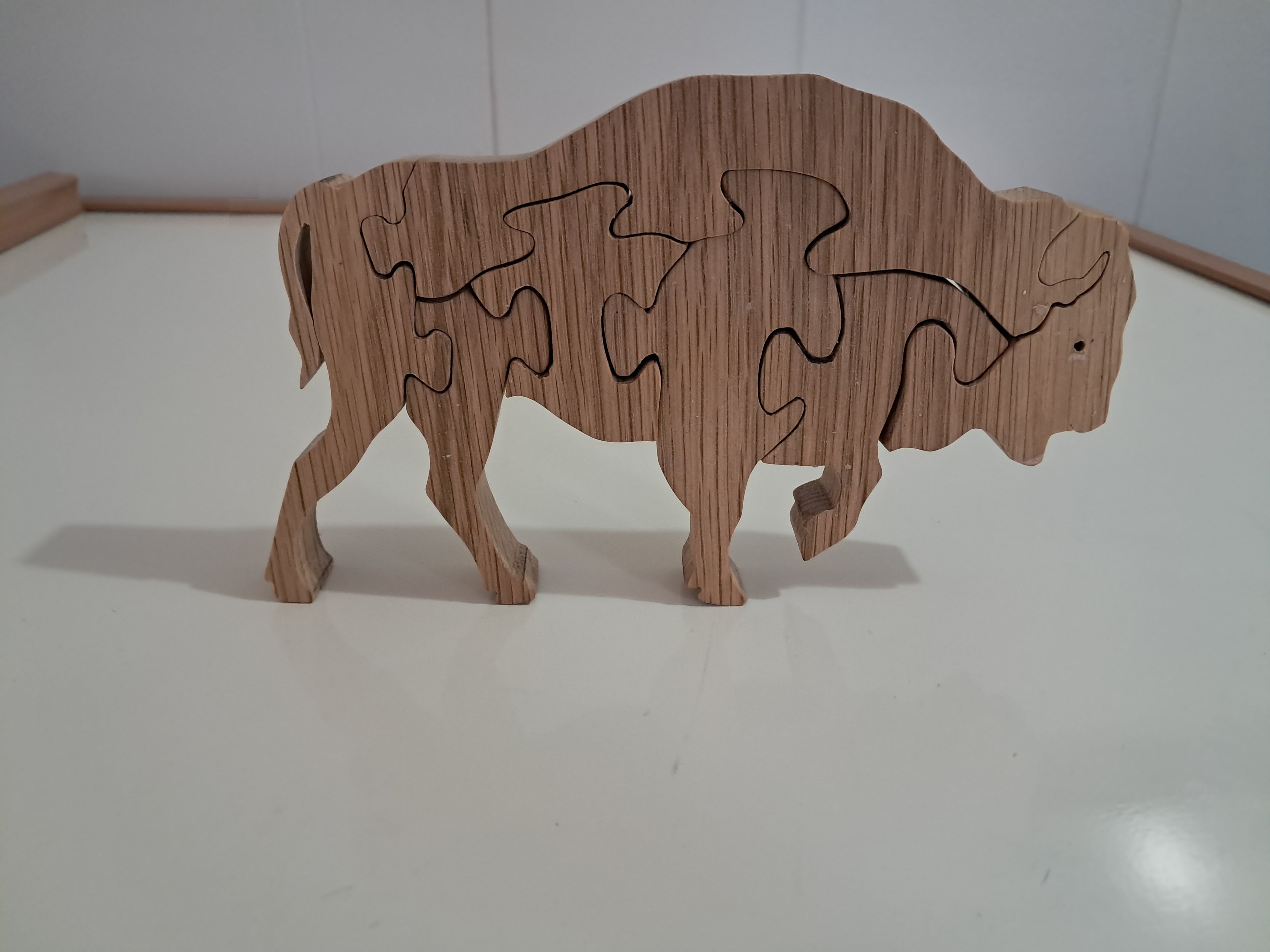 BIson