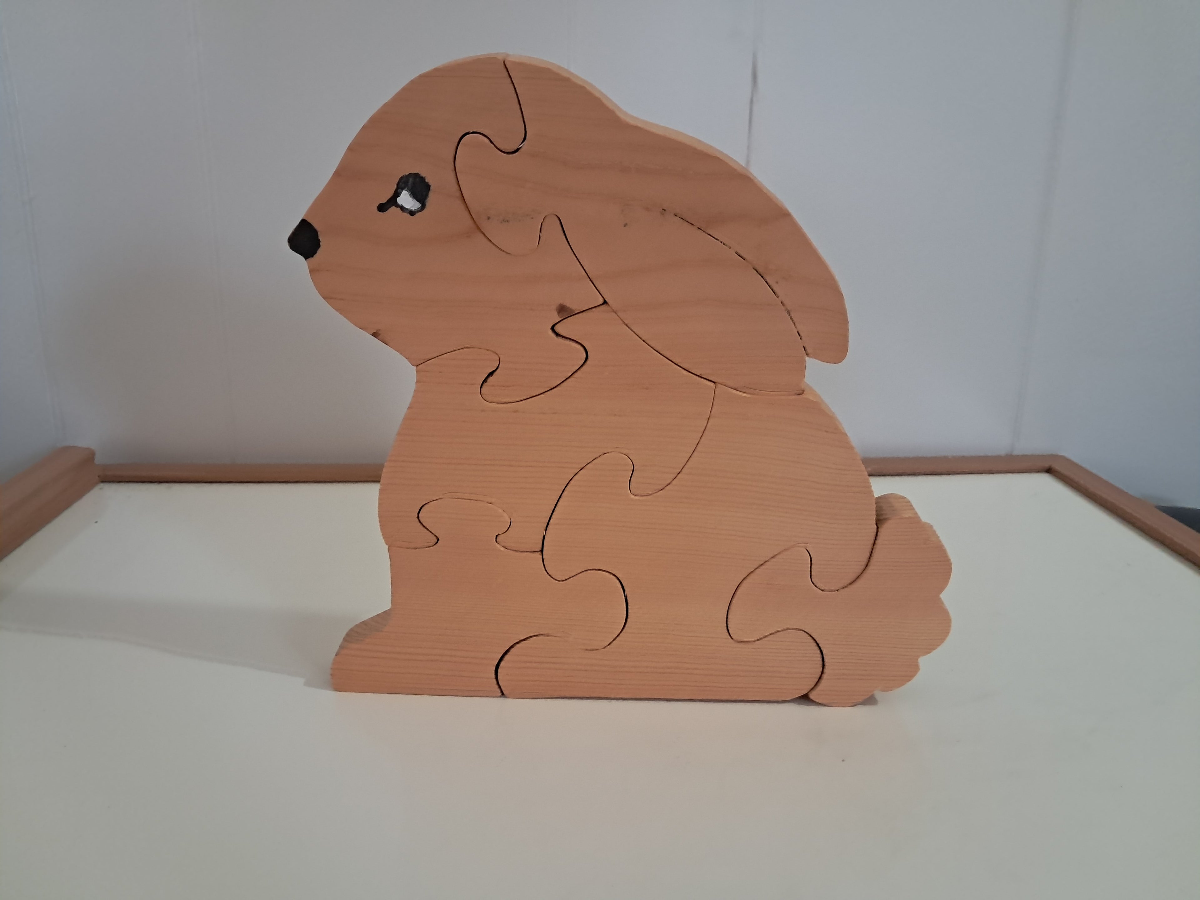 Bunny