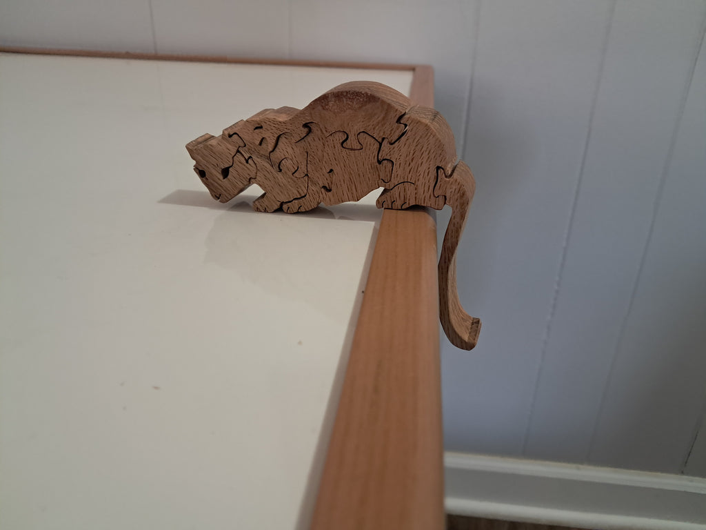 Cougar