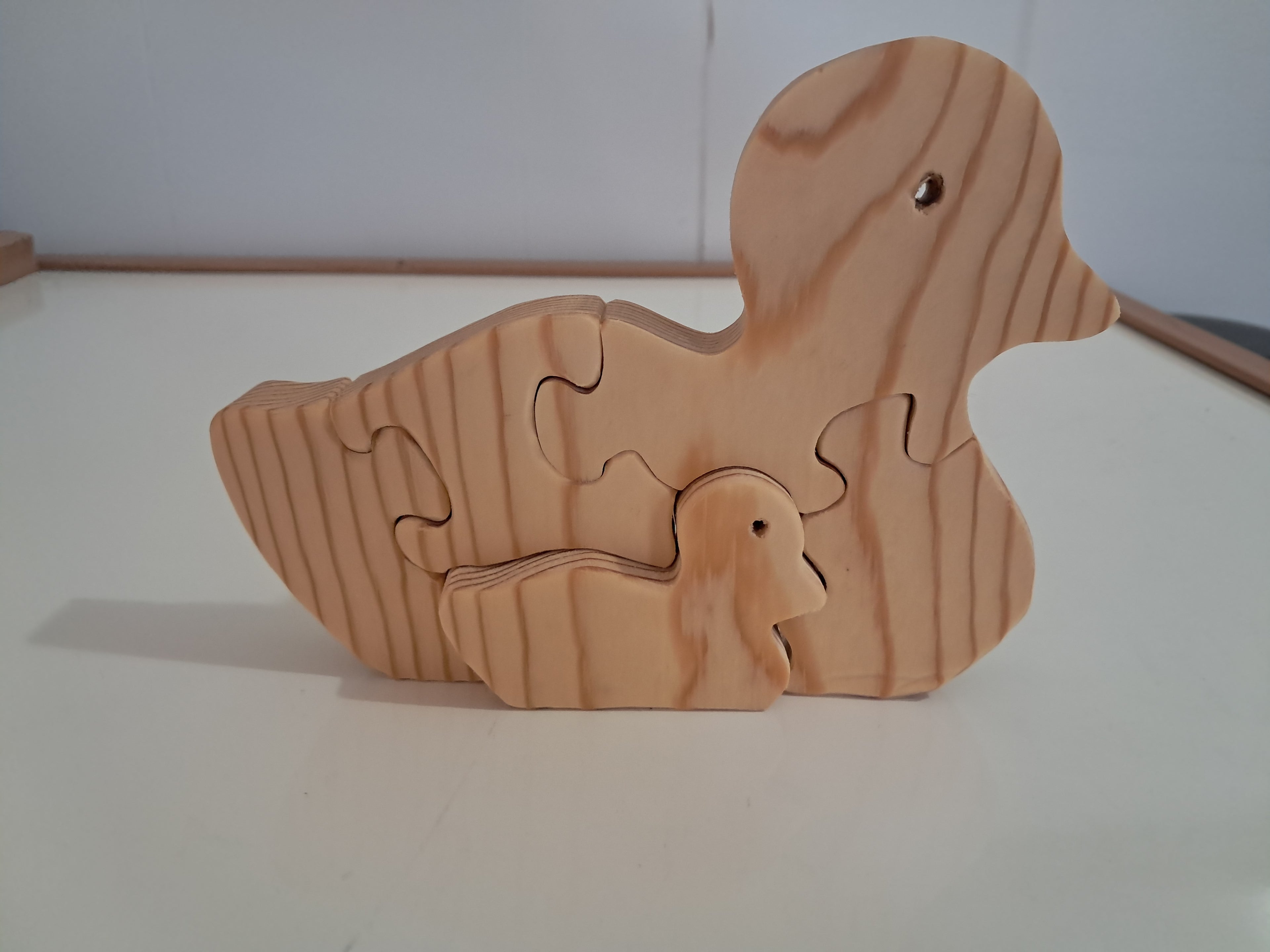 Duck