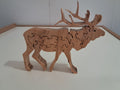 Elk