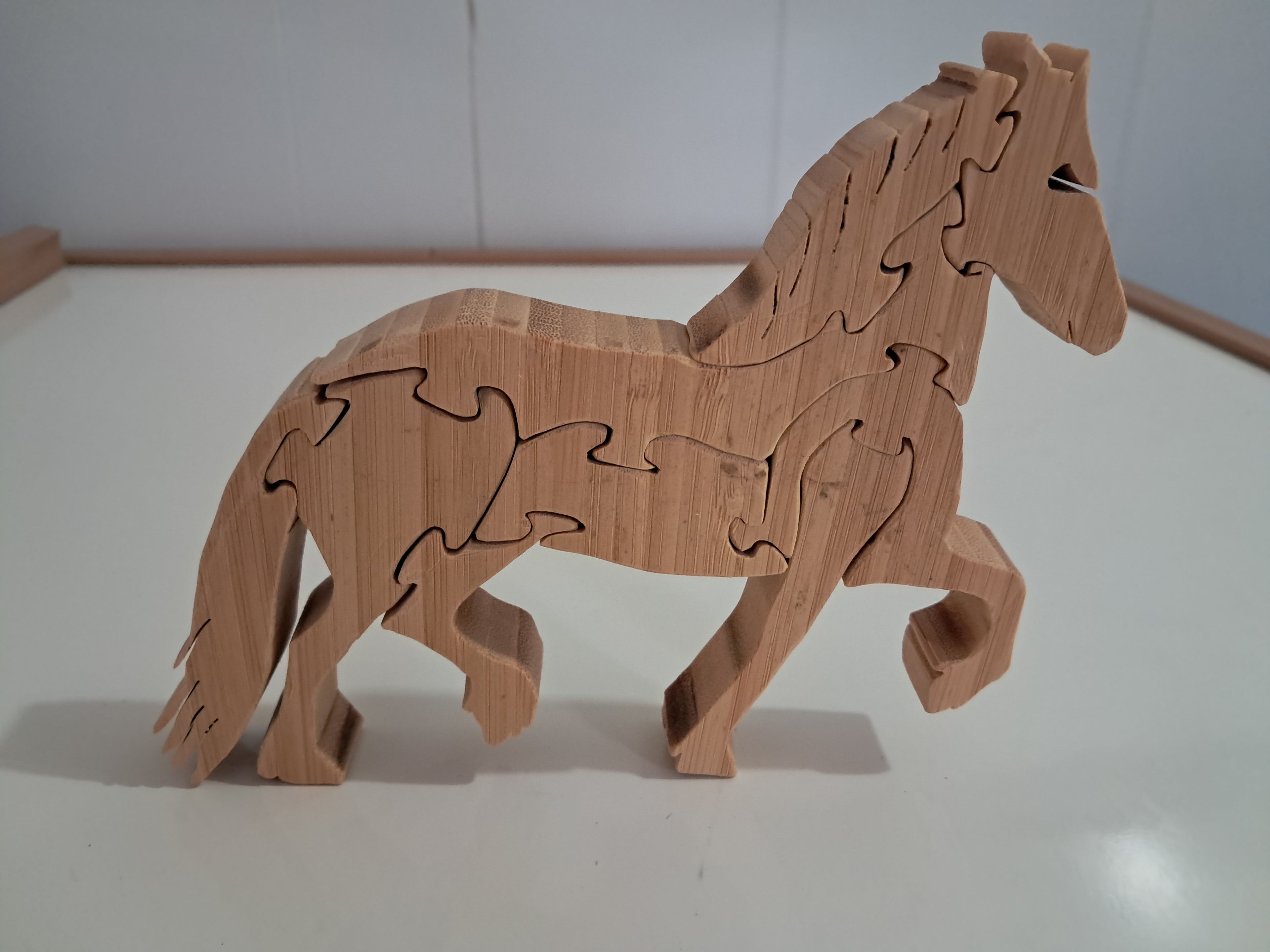 Fresian horse