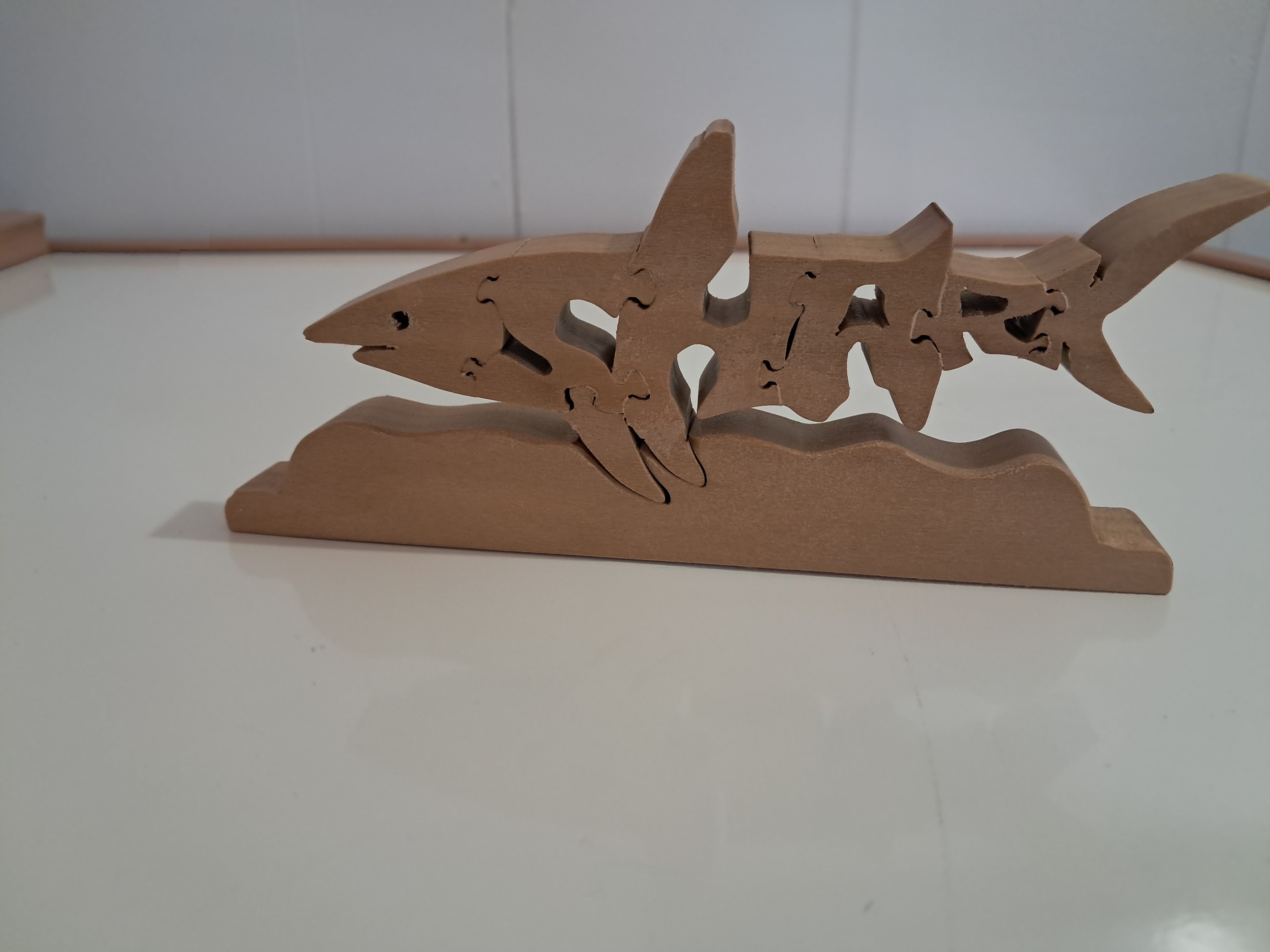 Small shark