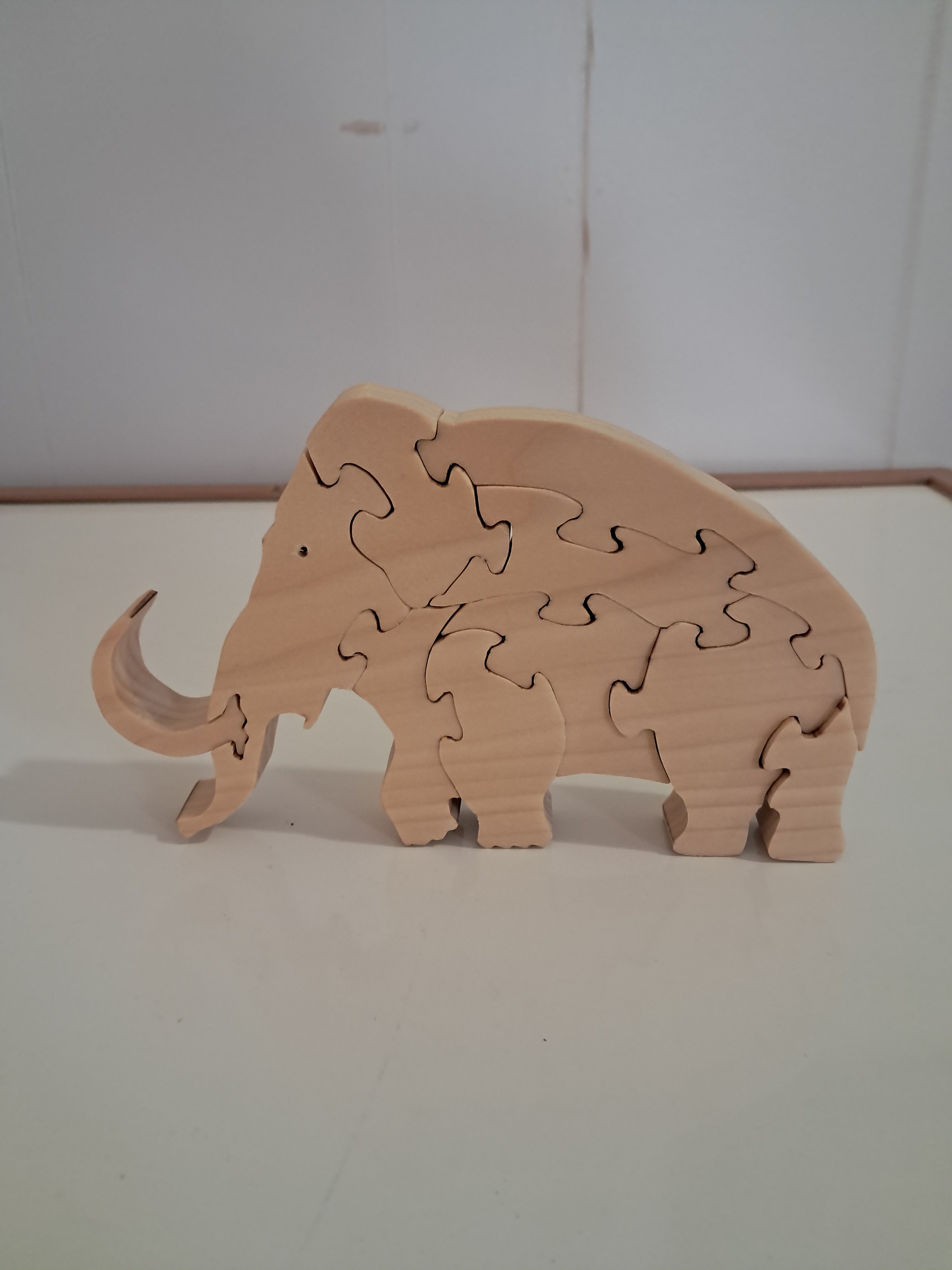 Mastodon puzzle