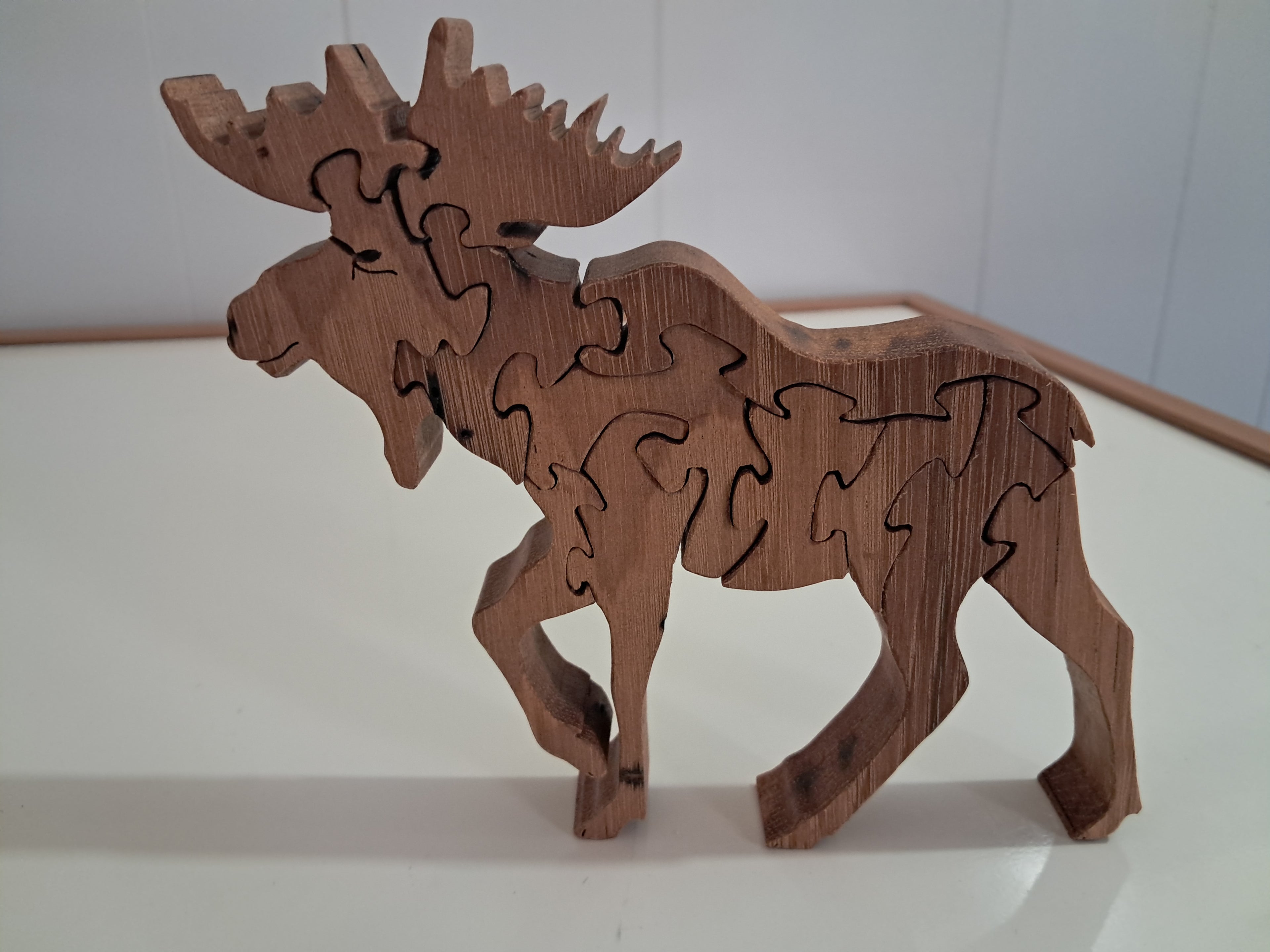 Moose