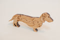 Dachshund